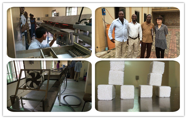 Cube Sugar Making Line Was Sold to Peru